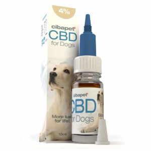 En flaske Cibapet CBD olie 4% til hunde (10ml) ved siden af en æske.