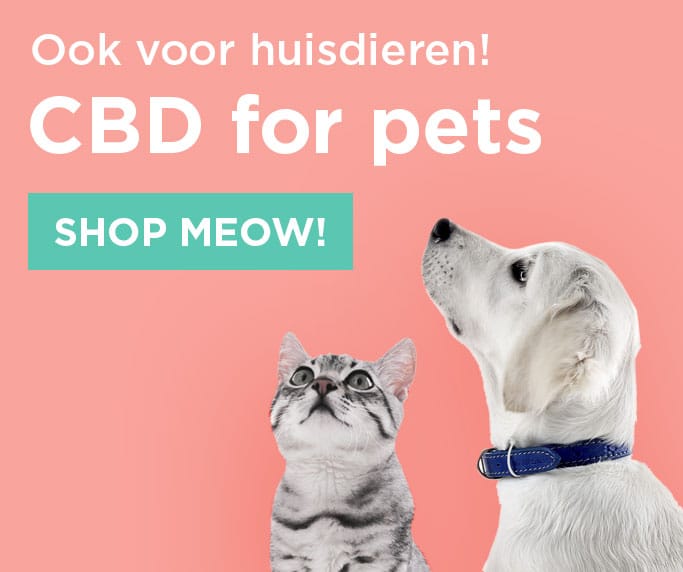 Cbd til kæledyrsbutik meow.