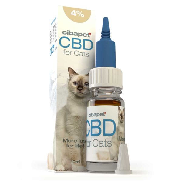 En flaske Cibapet CBD olie 4% til katte (10ml) til katte ved siden af en æske.